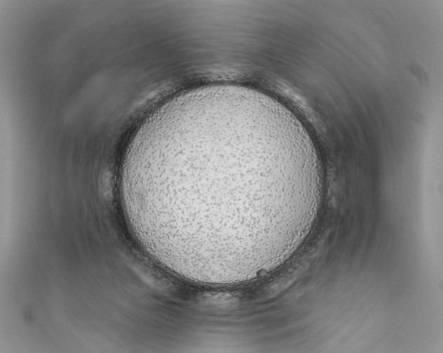 X0000110900161200907091423