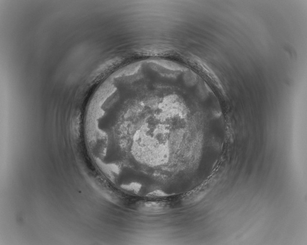 X0000110900163200907091423