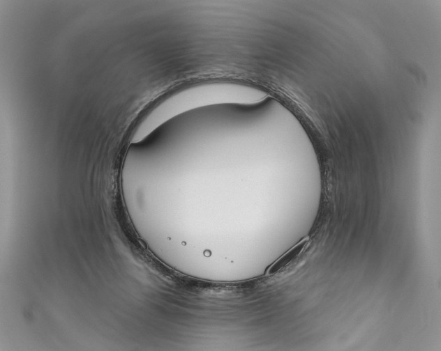 X0000110900164200907091423