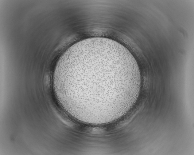 X0000110900165200907091423