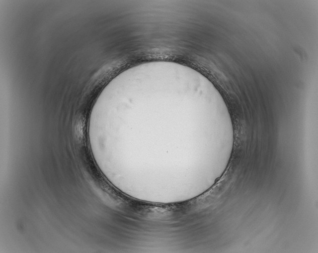 X0000110900166200907091423