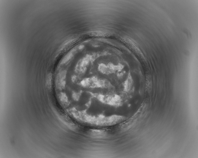 X0000110900167200907091423