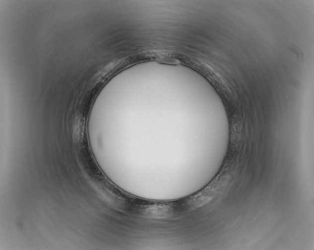 X0000110900168200907091423