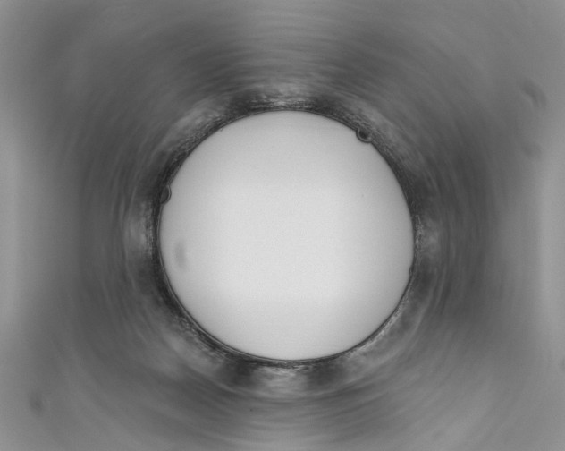 X0000110900170200907091423