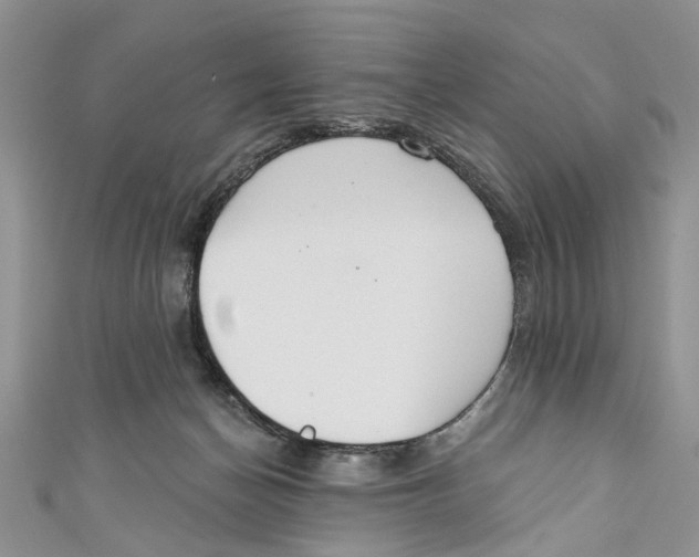 X0000110900174200907091423