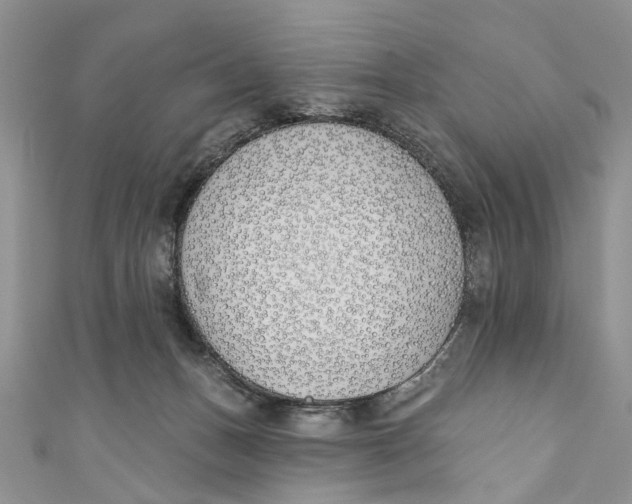 X0000110900175200907091423