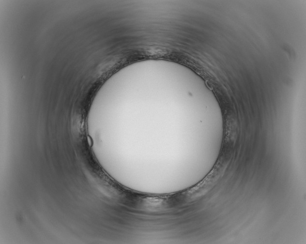 X0000110900176200907091423