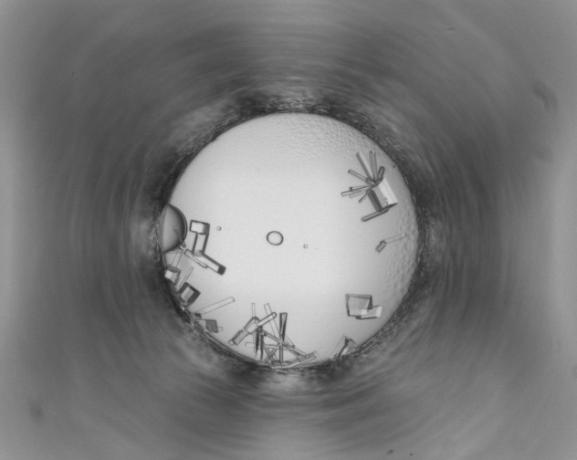 X0000110900177200907091423