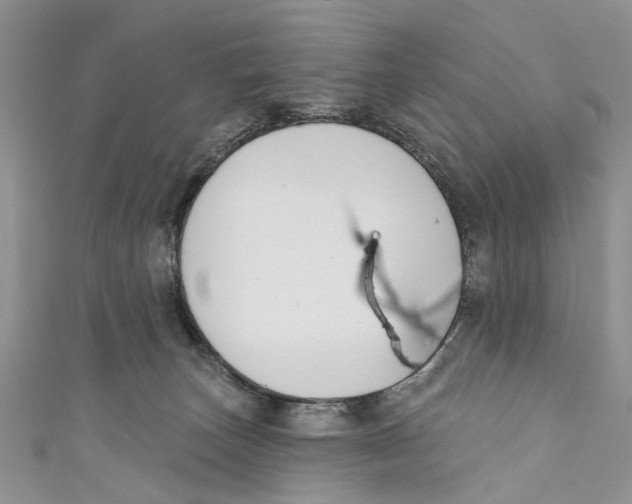 X0000110900179200907091423