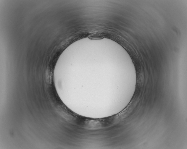 X0000110900180200907091423