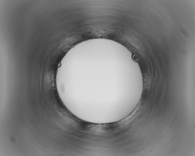 X0000110900182200907091423