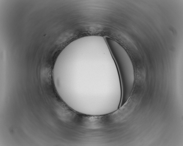 X0000110900184200907091423