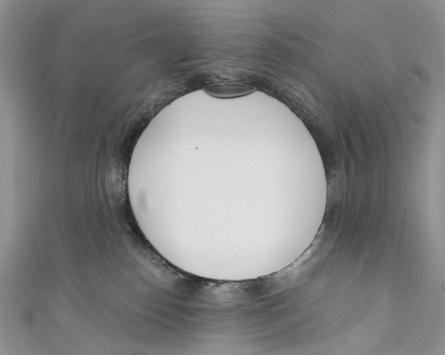 X0000110900186200907091423