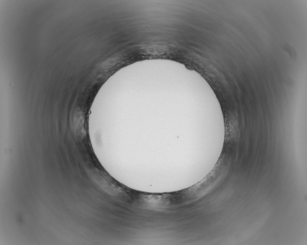 X0000110900187200907091423