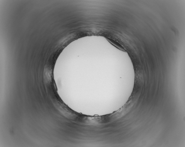 X0000110900188200907091423