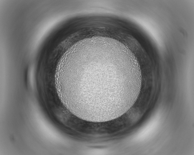 X0000110900189200907091423