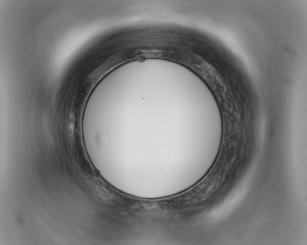 X0000110900194200907091423