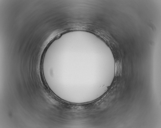 X0000110900195200907091423