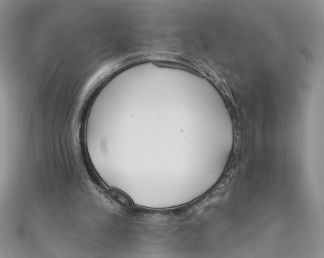 X0000110900197200907091423