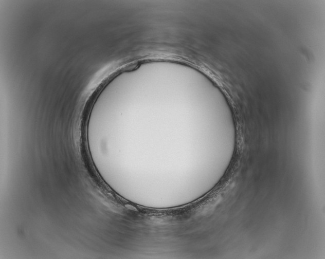 X0000110900199200907091423