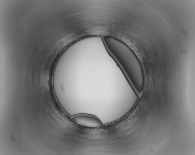 X0000110900201200907091423