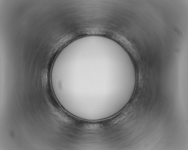 X0000110900202200907091423