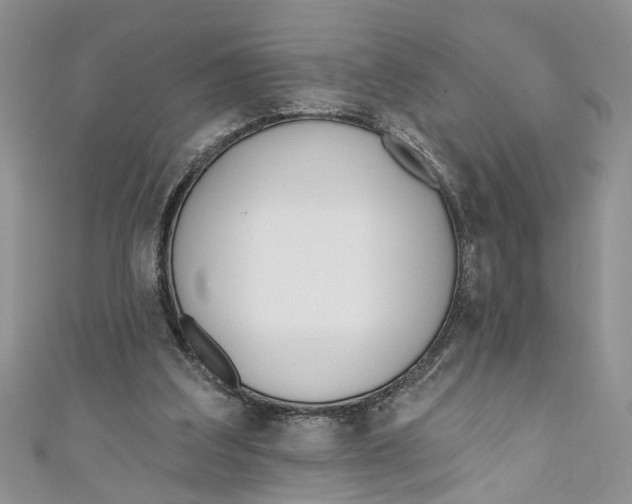 X0000110900203200907091423