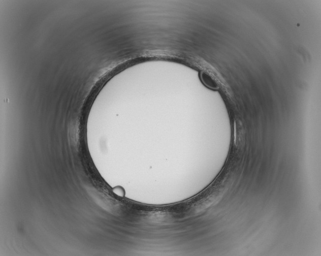 X0000110900204200907091423