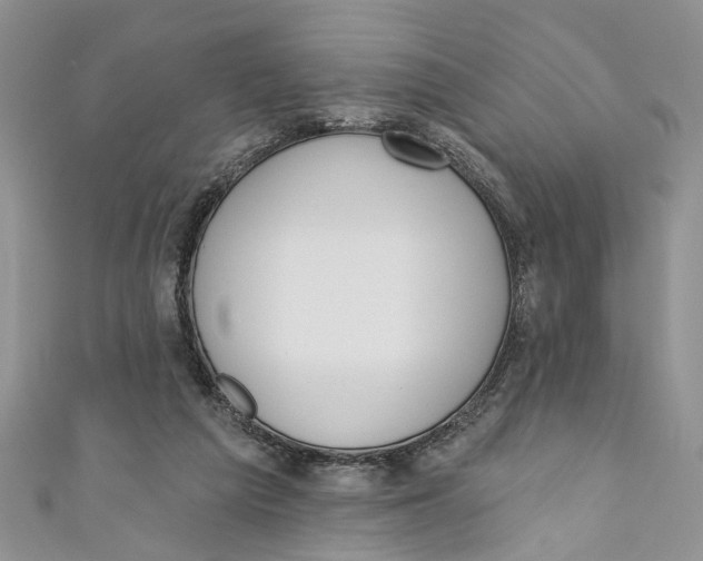 X0000110900209200907091423