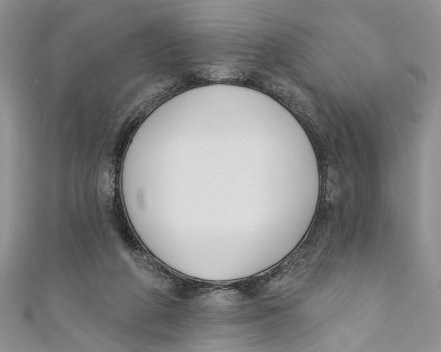 X0000110900210200907091423