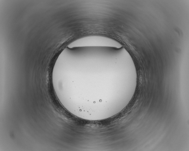 X0000110900211200907091422