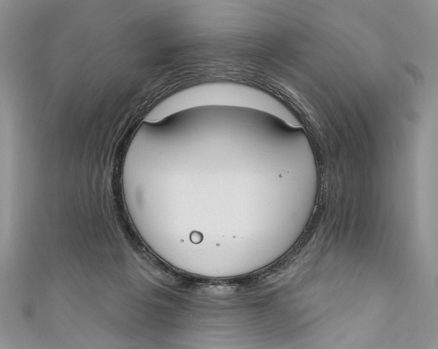 X0000110900217200907091422