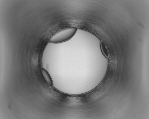 X0000110900221200907091422