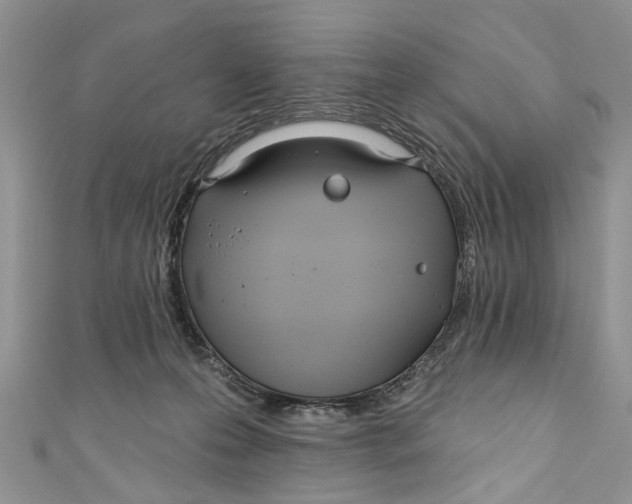 X0000110900223200907091422