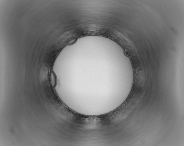 X0000110900225200907091422