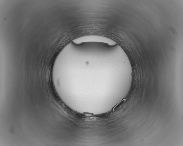 X0000110900227200907091422