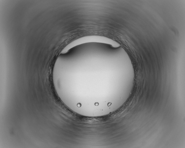 X0000110900229200907091422