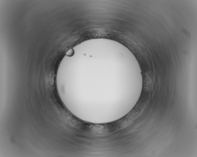 X0000110900230200907091422