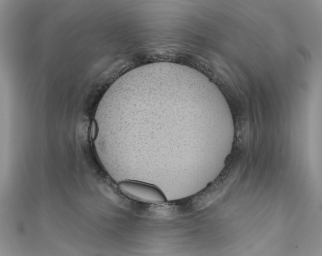 X0000110900231200907091422