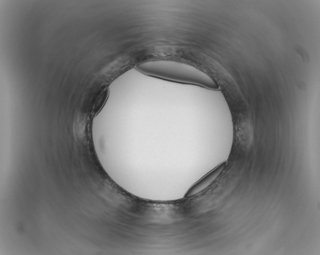 X0000110900233200907091422