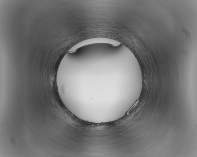 X0000110900235200907091422