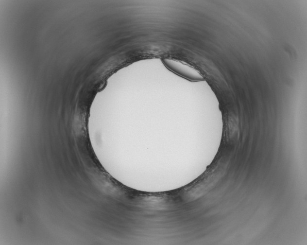 X0000110900236200907091422