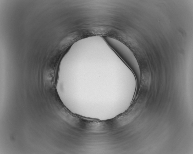 X0000110900237200907091422