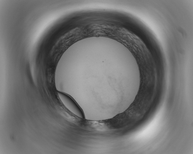 X0000110900239200907091422