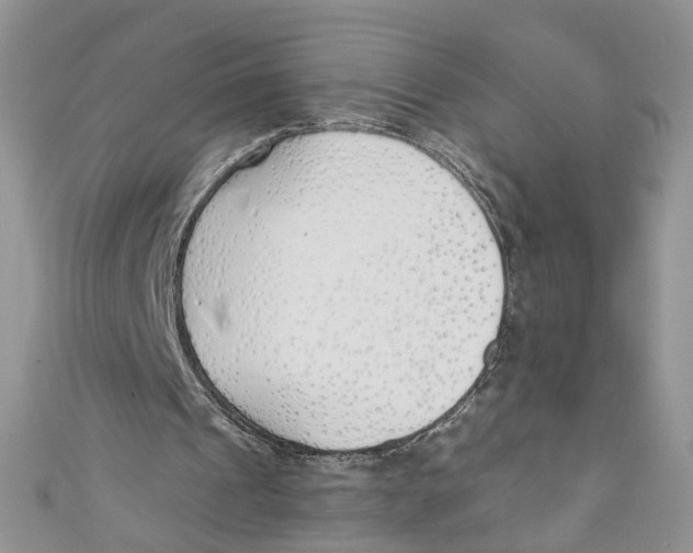 X0000110900241200907091421