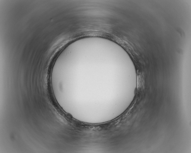 X0000110900243200907091422