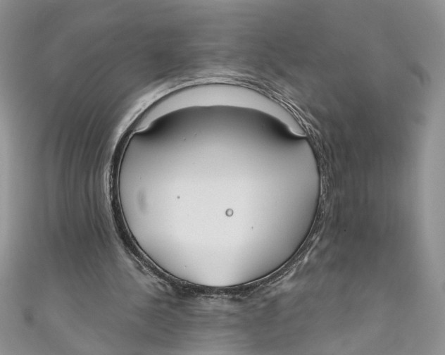 X0000110900244200907091422