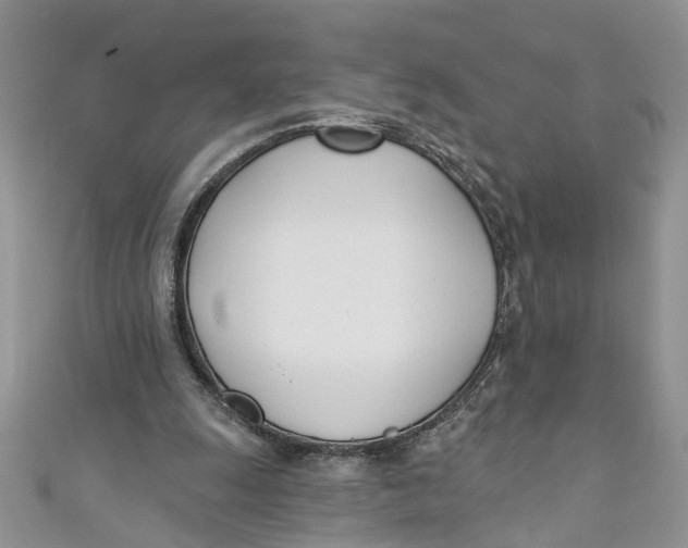 X0000110900247200907091422