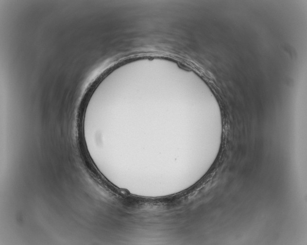 X0000110900248200907091422