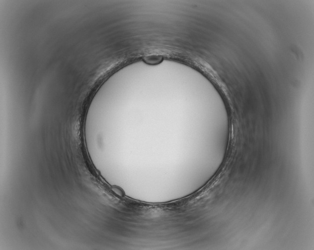 X0000110900249200907091422